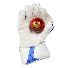 SS Ton Keeping Gloves Ton Gutsy