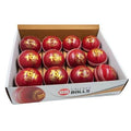 SS Ton Ball Ton Elite