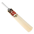 SS Soft Pro Player Scoop Tennis Cricket Bat