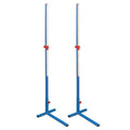 VINEX HJS-A66 High Jump Stand - Gold-100