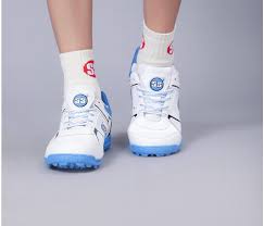SS Josh Cricket Shoes